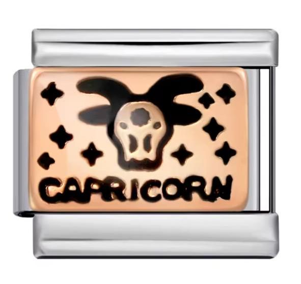 Capricorn