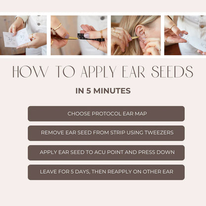 Ear Seed Kit
